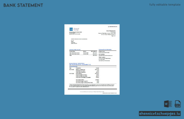 USA American Express National Bank Kontoauszug – Beispielvorschau